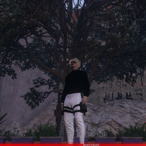 FORMAS DIFERENTES DE SEGURAR UMA ARMA / Different ways to hold a WEAPON